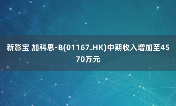 新影宝 加科思-B(01167.HK)中期收入增加至4570万元